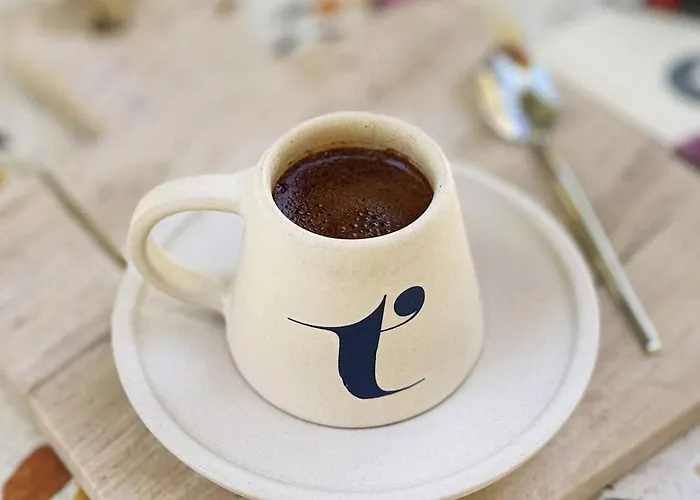 酒店 Tinspiro 阿拉恰特